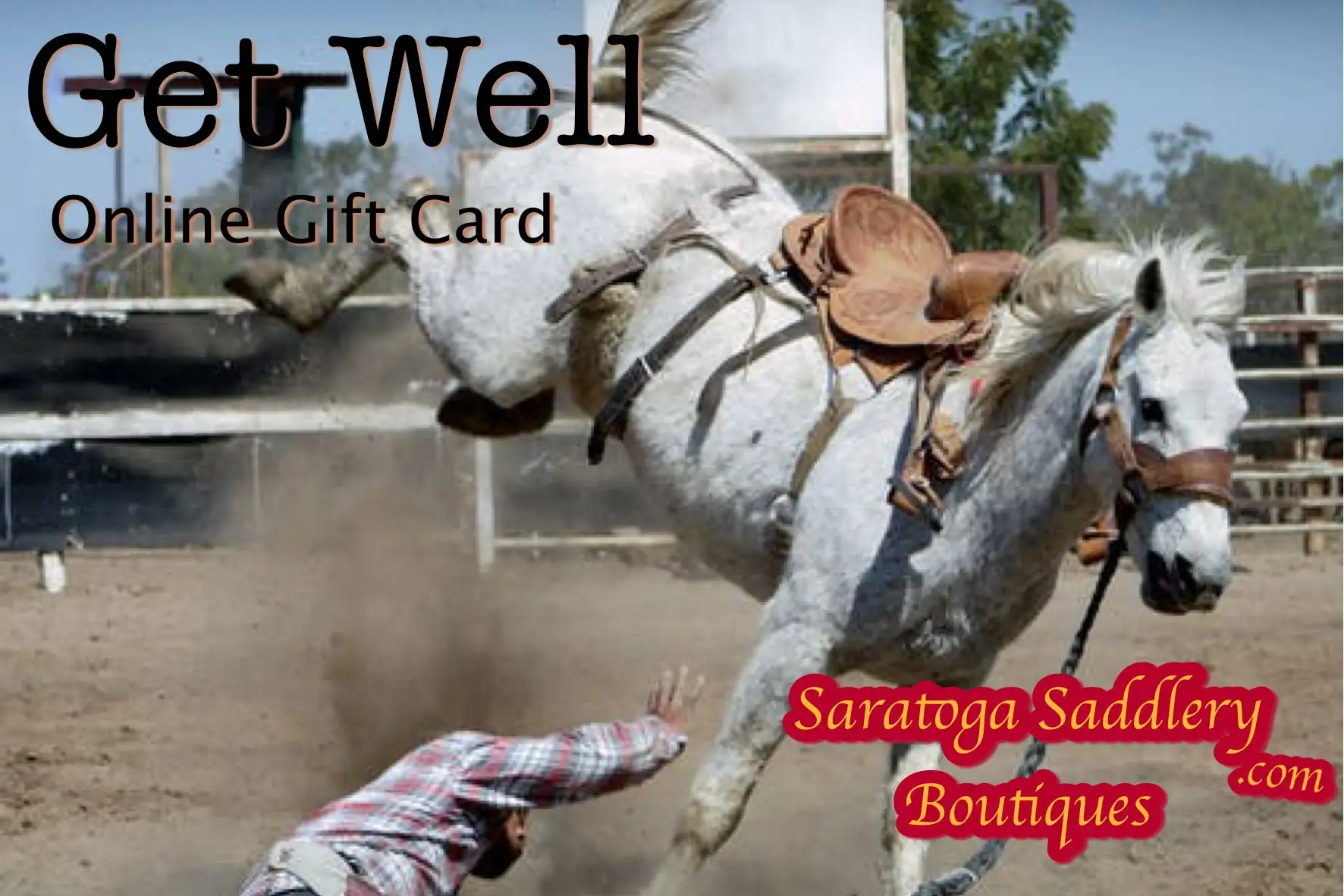 Get Well Gift Card From Saratoga Saddlery 1 Get Well Gift Card From Saratoga Saddlery