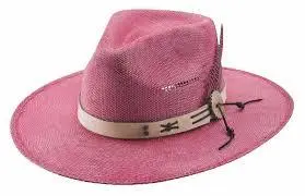 Bullhide Chasing Summer In Pink 5041 CHD 1 Bullhide Chasing Summer In Pink 5041 CHD